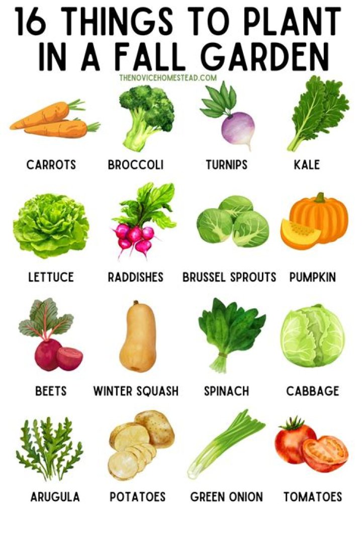 What can you plant in the fall in Utah