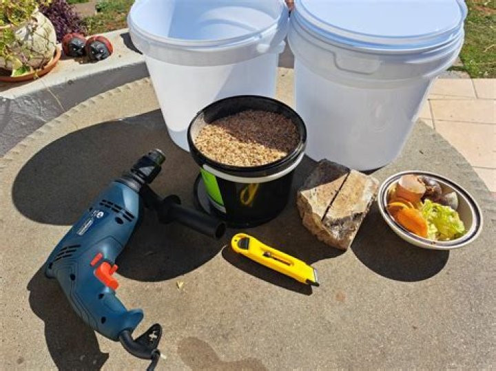 What can you put in a Bokashi bucket
