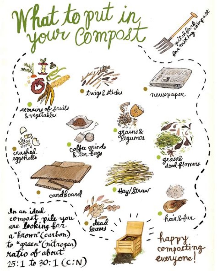 What can you put in a kitchen compost bin