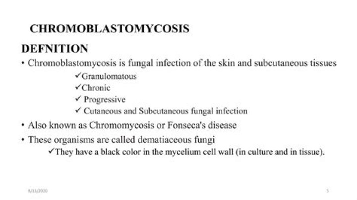 What causes Chromoblastomycosis