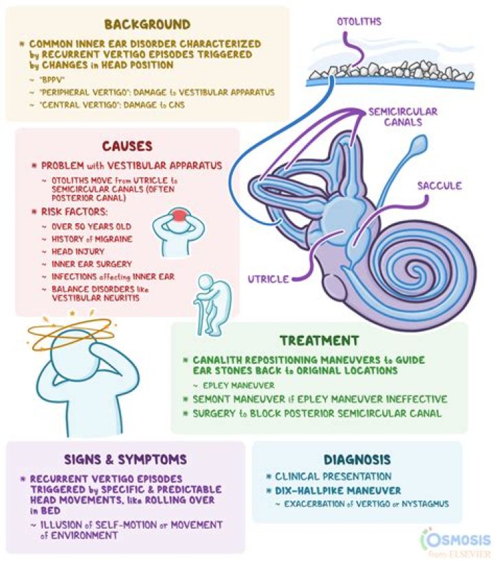What causes hepatoma