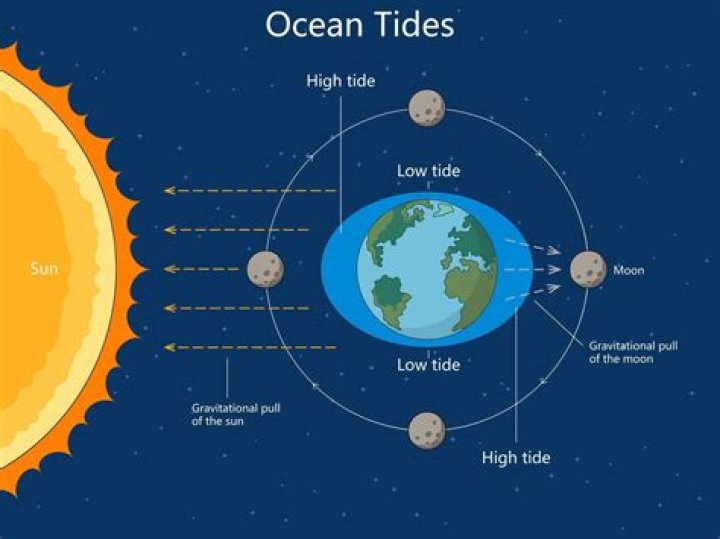 What causes high and low tides quizlet