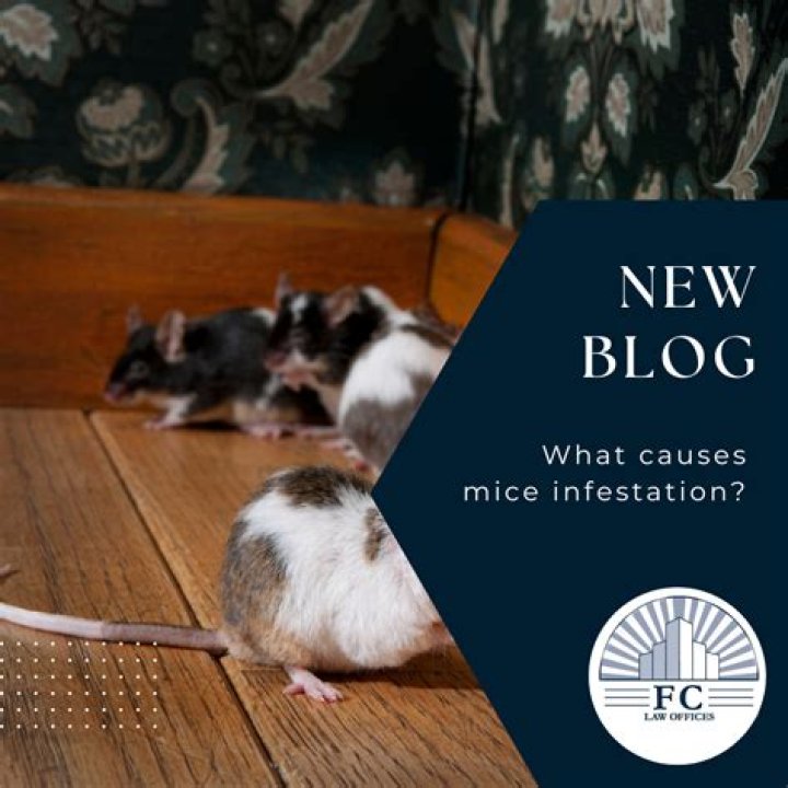 What causes mice to die suddenly