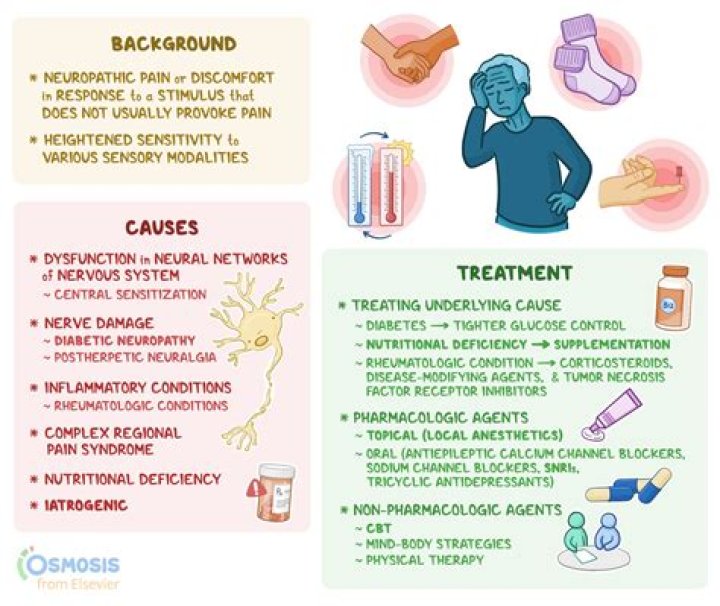 What causes NMO disease