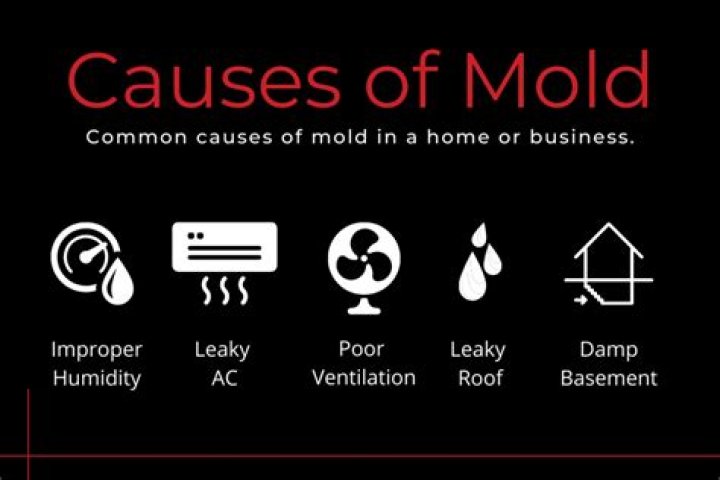 What causes white mold