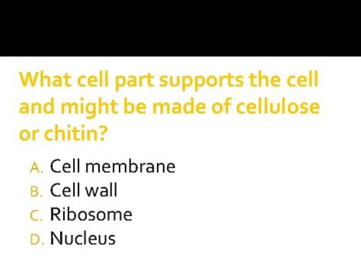 What cell part supports the cell and might be made of cellulose or chitin