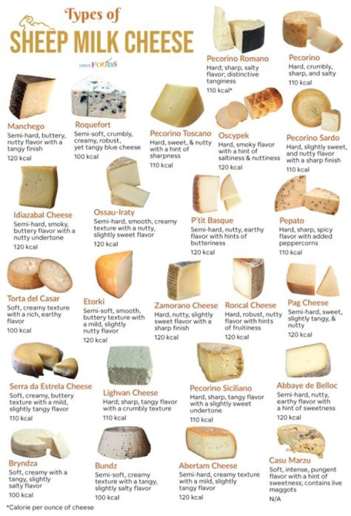What cheeses are made with sheep milk
