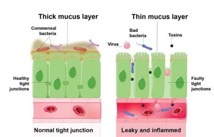 What chemical in gastric juice kills bacteria you may have consumed