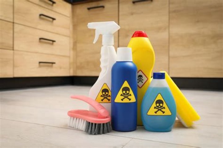 What chemicals are in termites