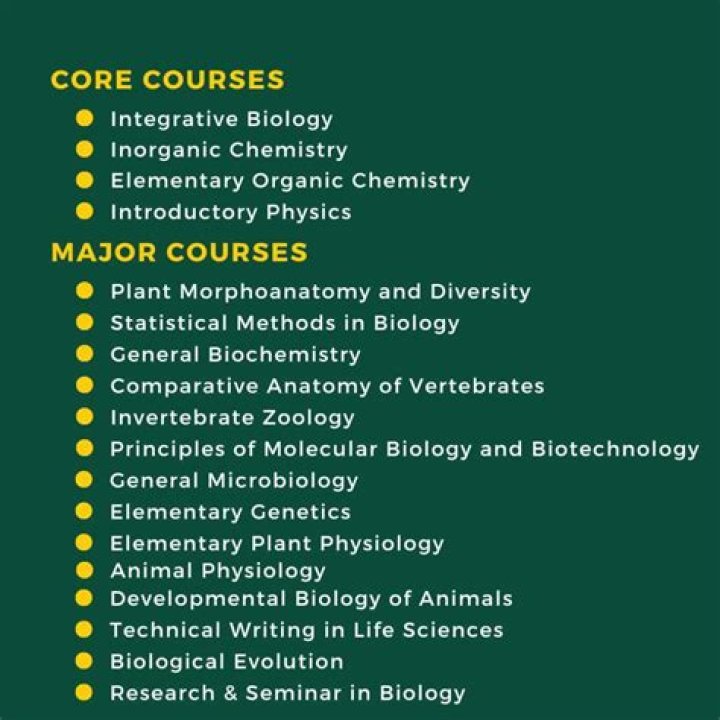 What classes does CCAC offer