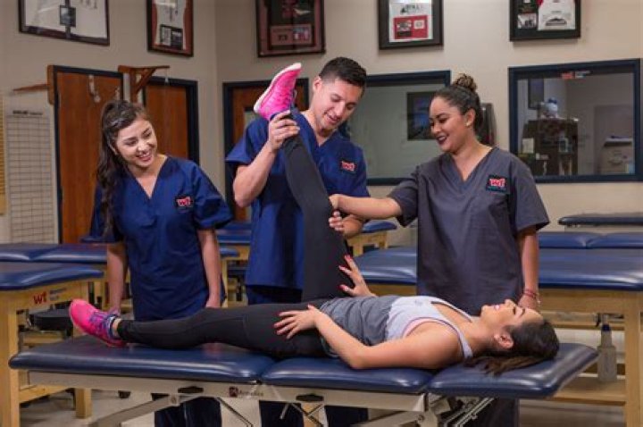 What colleges in Alabama offer physical therapy