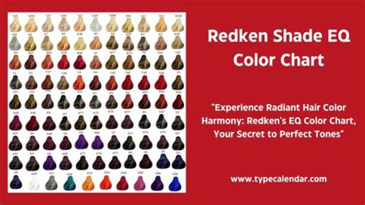 What color is Redken 3N