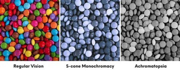 What Colours can Dichromats see