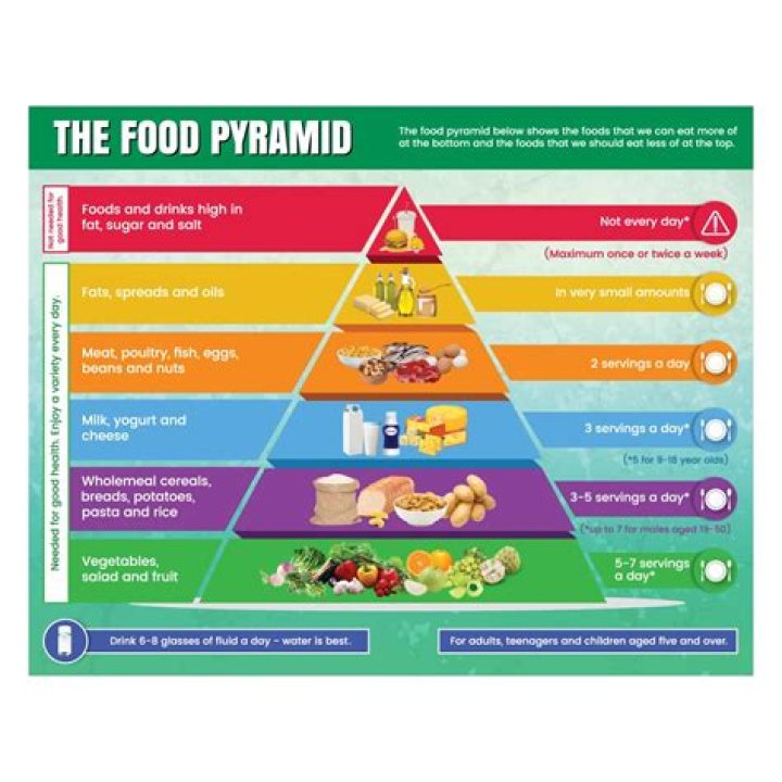 What concepts are covered in MyPyramid