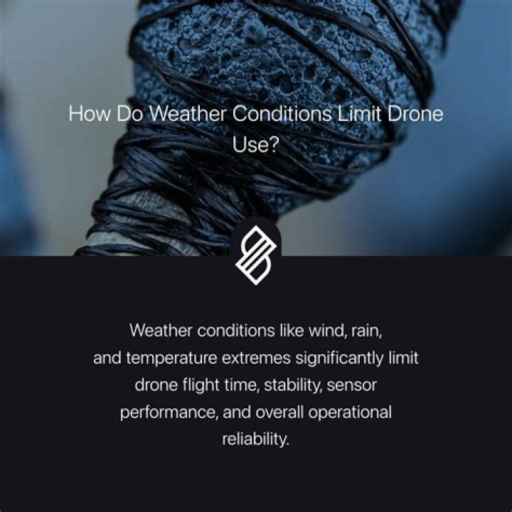 What conditions do viburnums like