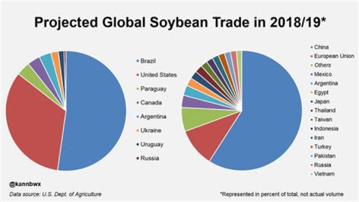 What country exports the most soybeans