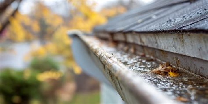 What damage can clogged gutters cause