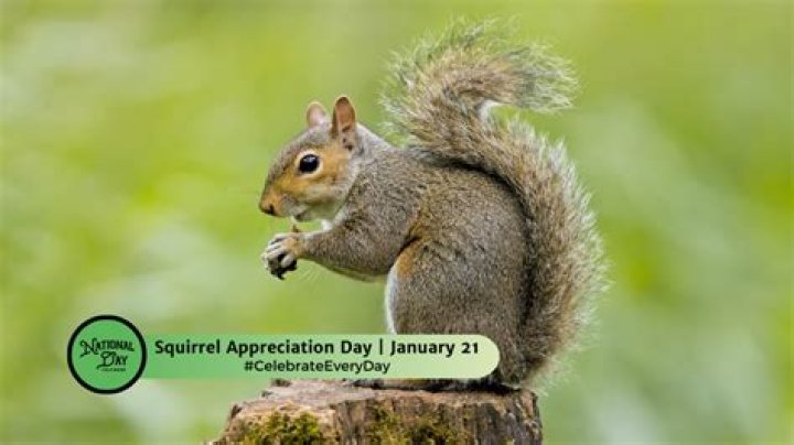 What day is National Squirrel Day