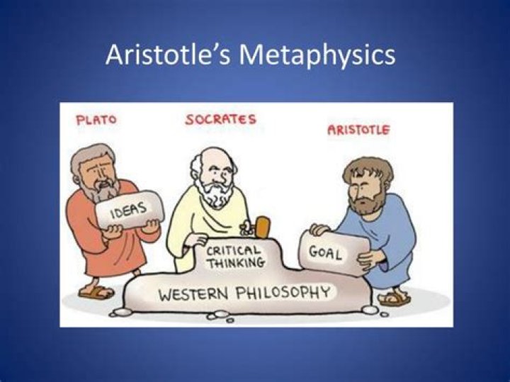 What did Aristotle contribute to physics