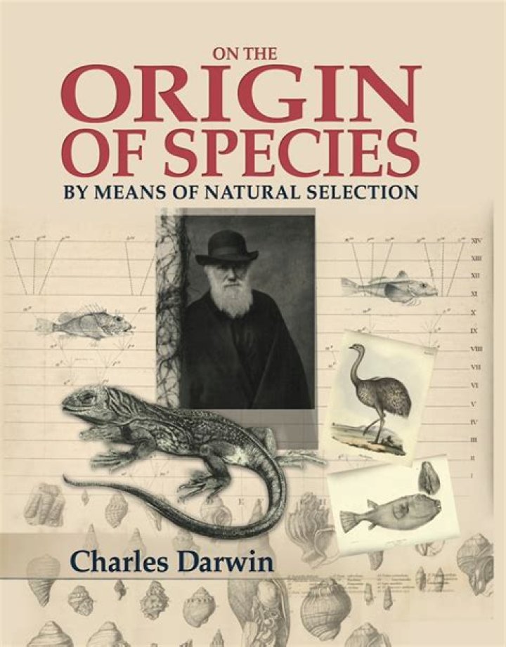 What did Darwin say in Origin of species