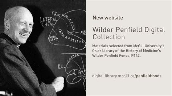 What did Wilder Penfield discover