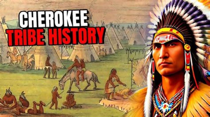 What diseases did the Cherokees have