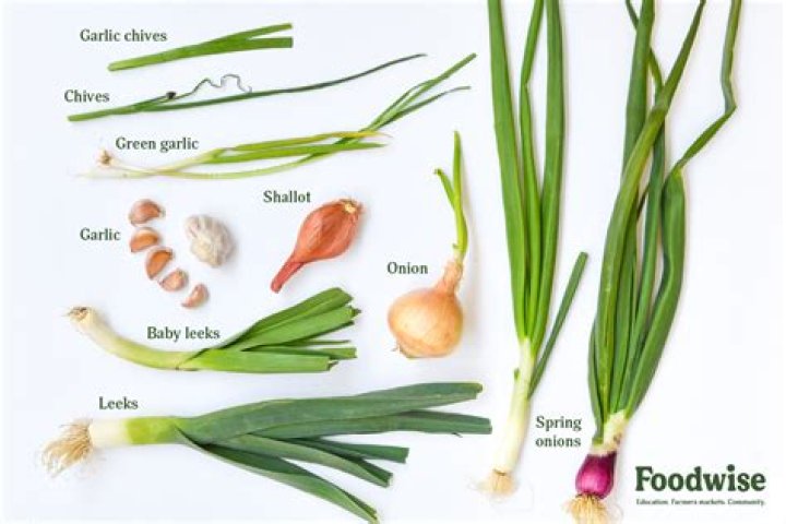 What do Australians call shallots