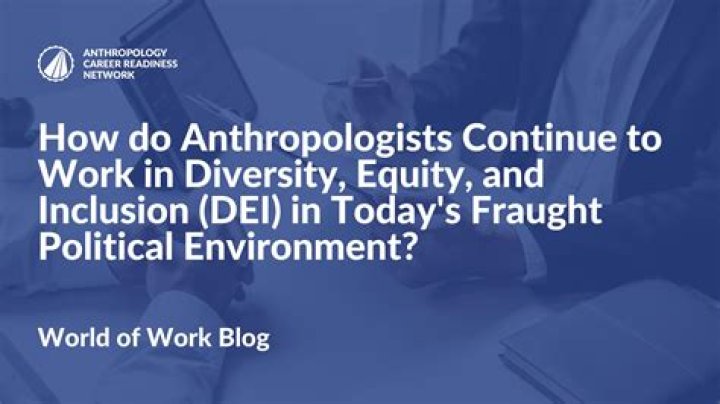 What do business anthropologists do