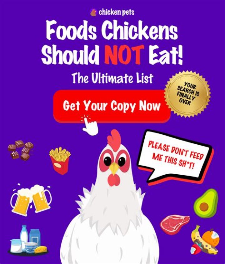 What do chickens like to roost in