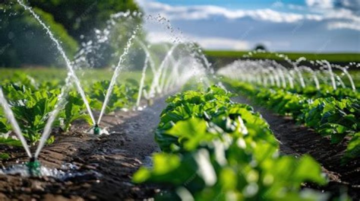 What do farmers use to water their crops