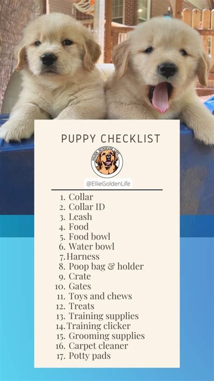 What do I need to buy for potty training