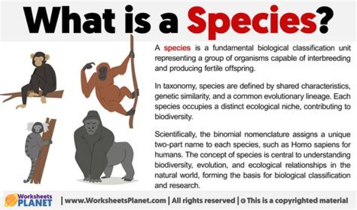 What do ring species demonstrate