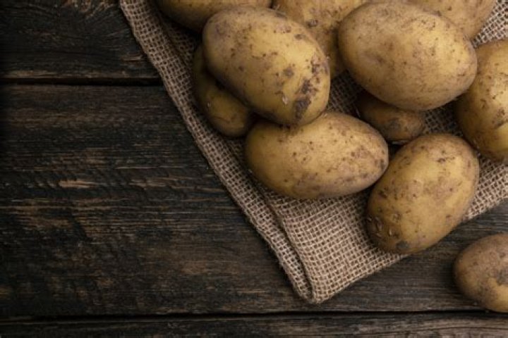 What do russet potatoes look like