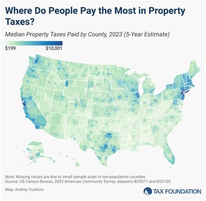 What do sin taxes pay for