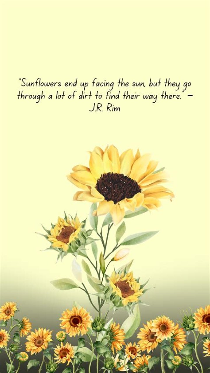 What do sunflowers give us