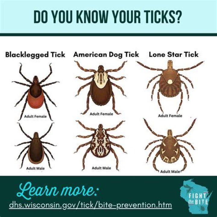 What do ticks hate