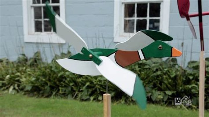 What do Whirligigs look like