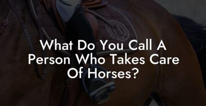What do you call a person who administers anesthesia