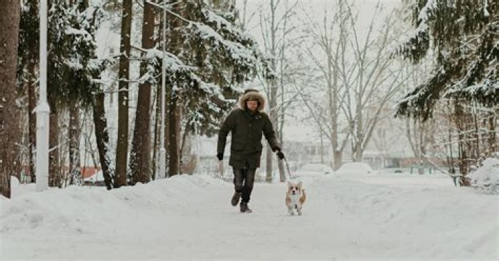 What do you do with your dog in the winter