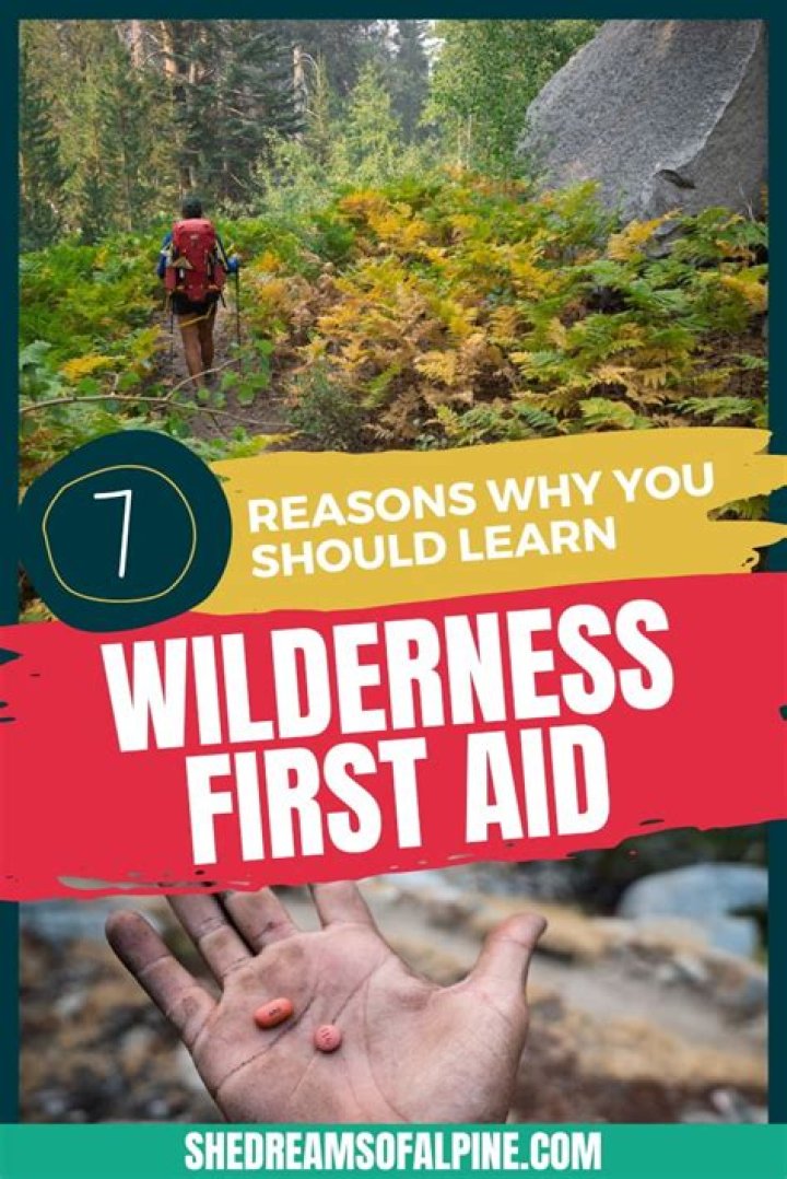What do you learn in wilderness first aid