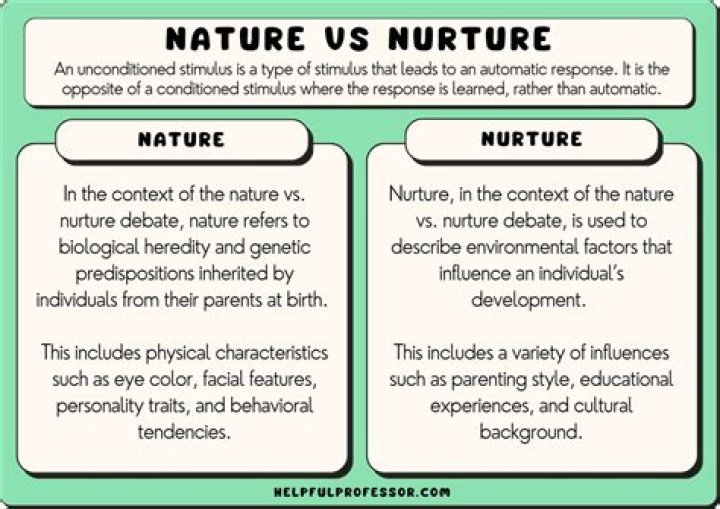 What do you mean by nature of perception