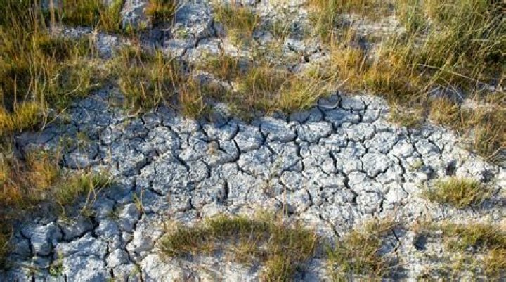 What do you understand by desert and desertification