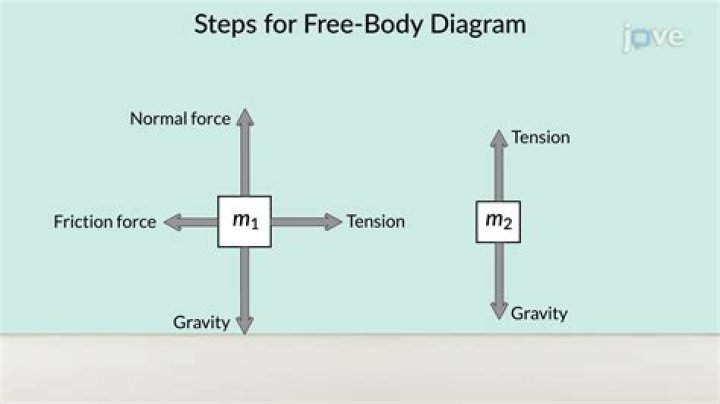 What does a free body diagram represent