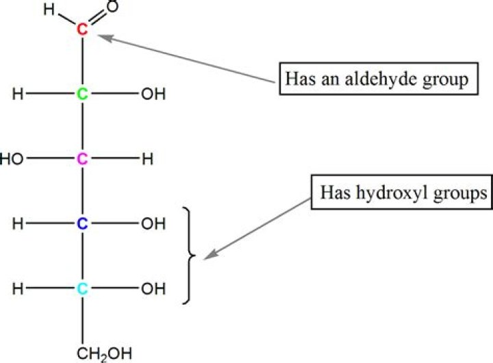 What does a hydroxyl group do