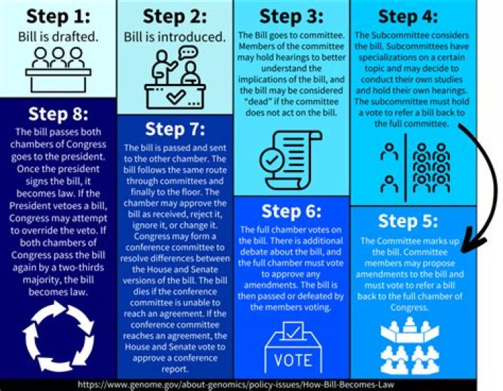What does a legislator Do Chapter 10 Section 4
