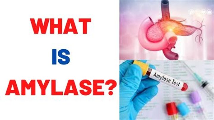 What does a low amylase and lipase level mean