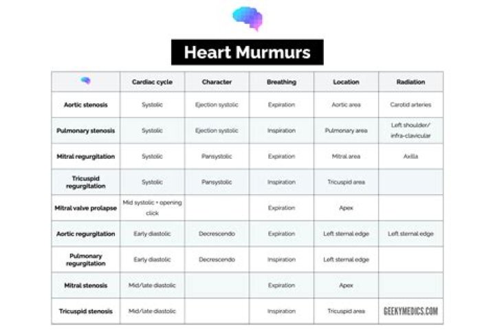 What does a murmur in the heart mean