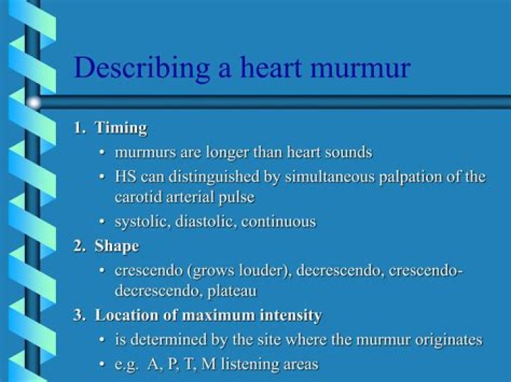 What does a newborn heart murmur sound like