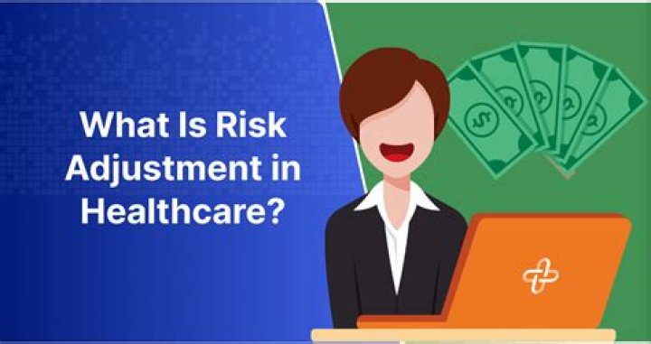 What does a risk adjustment auditor do