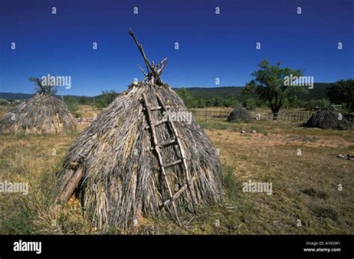 What does a wickiup look like